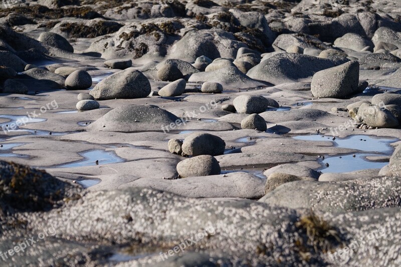 Rocks Stones Beach Bay Of Fundy Gray