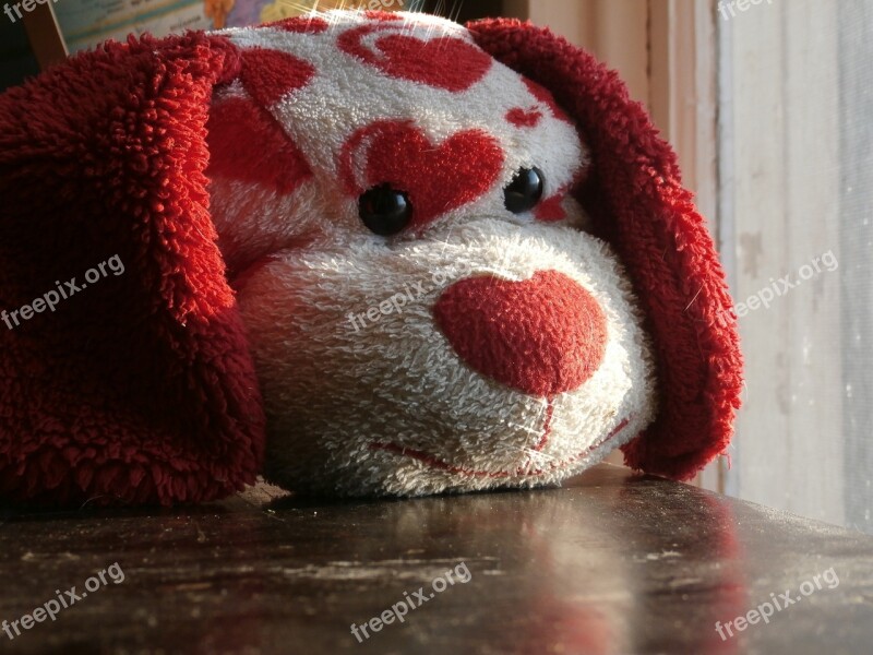 Stuffed Animal Puppy Valentines Day Free Photos