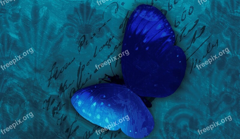 Butterfly Background Blue Romantic Postkartenmotiv