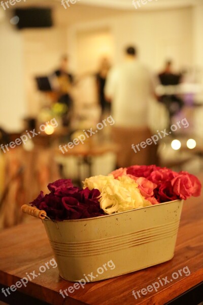 Music Coffee Cafe Cup Flowers