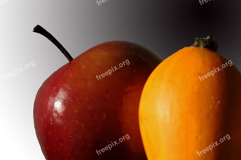 Apple Pumpkin Autumn Thanksgiving Harvest