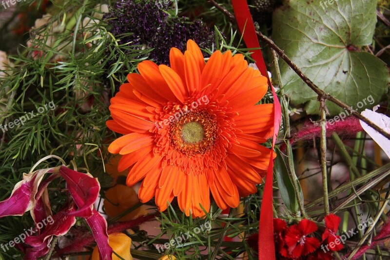 Floral Arrangement Flowers Gerbera Orange Blossom