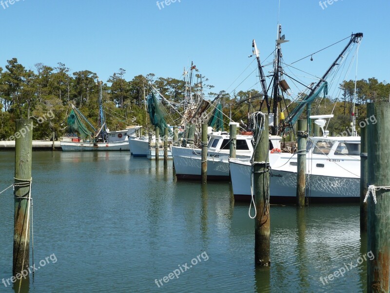 Fish Dock Wharf Harbor Seafood