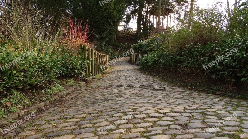 Path Pavement Pierre Road Pavers Bush