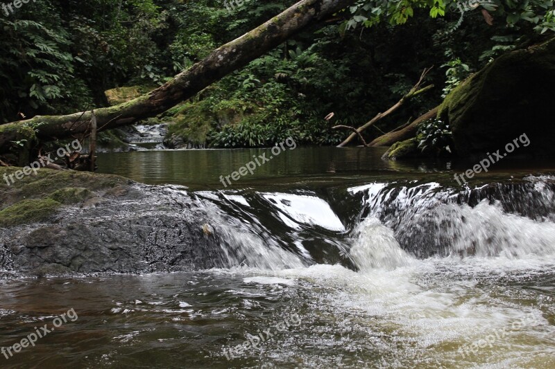 Rios Waterfall Rivers Nature Falls