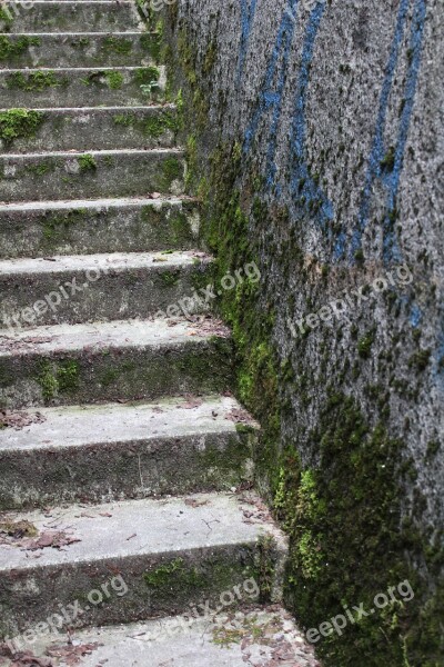 Stairs Concrete Moss Steep Gradually