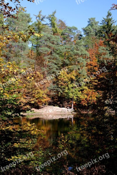 Stuttgart Pfaffenteich Lake Bear Lake Autumn Autumn Mood