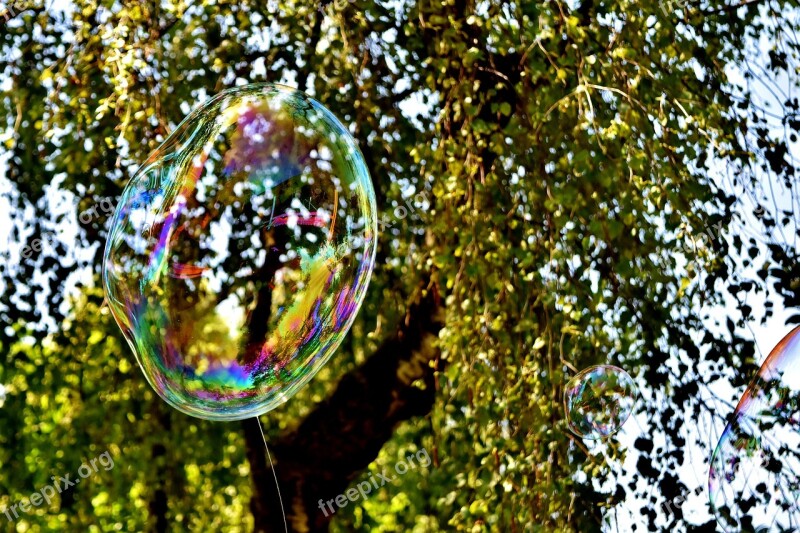 Soap Bubble Huge Large Make Soap Bubbles Wabbelig