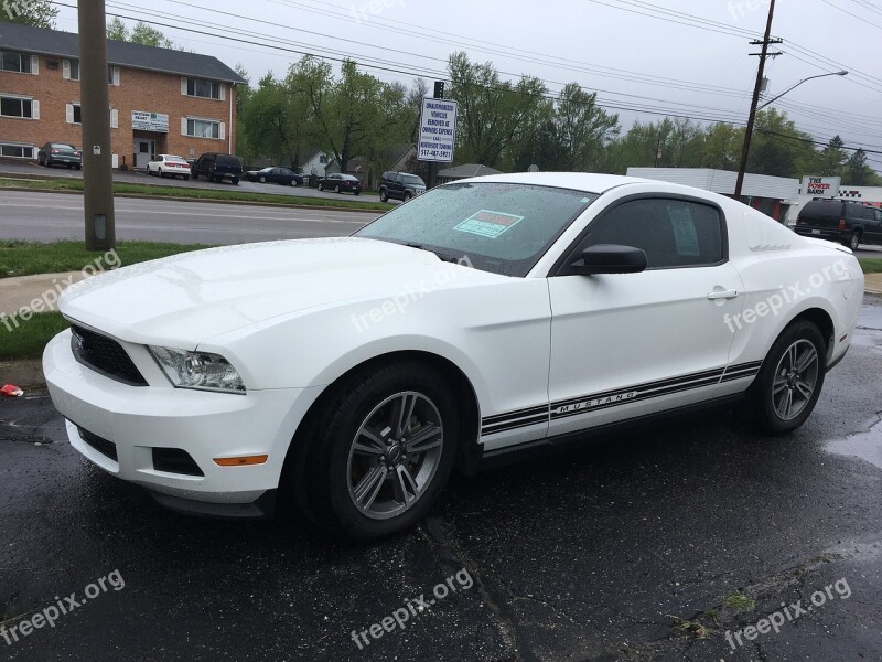 Mustang Car Sale Rainy Buy