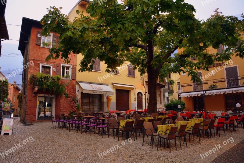 Bar Desert Piazza Tree Malcesine