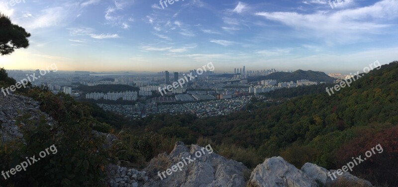 Autumn Landscape Of Foliage With Literature Produced In Incheon Metropolitan City Yeonsu Foreground Panorama Photo Free Photos