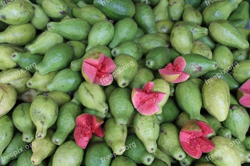 Guava Fruit Healthy Green Free Image