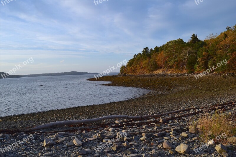 Sunset Shore Rocks Ocean Pine Trees