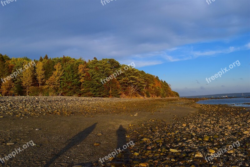 Sunset Shore Trees Light Rocks