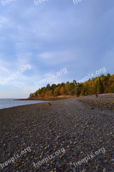 Sunset Shore Rocks Ocean Pine Trees