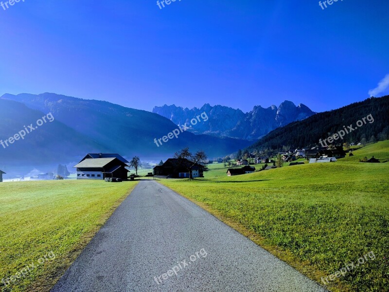 Gosau Austria Alpine Alm Meadow