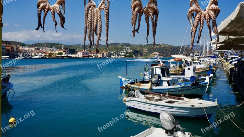 Squid Octopus Boat Sea Fishing Boat