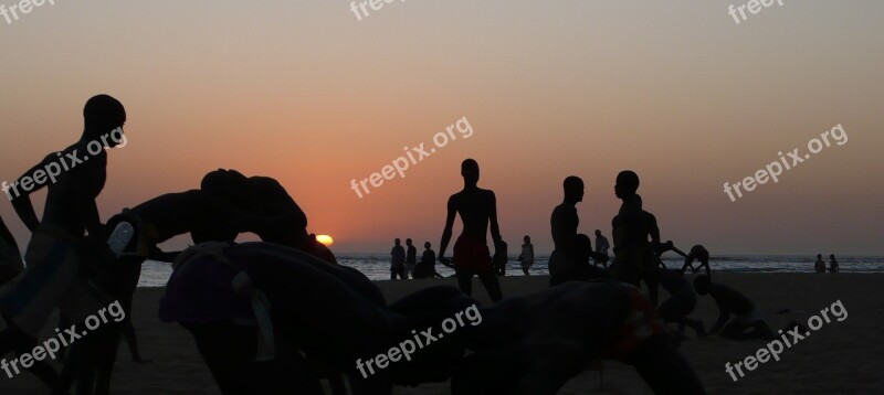 Senegal Fight Crepuscule Beach Free Photos