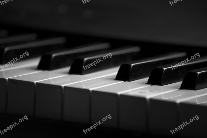 Piano Piano Keyboard Piano Keys Musical Instrument Instrument