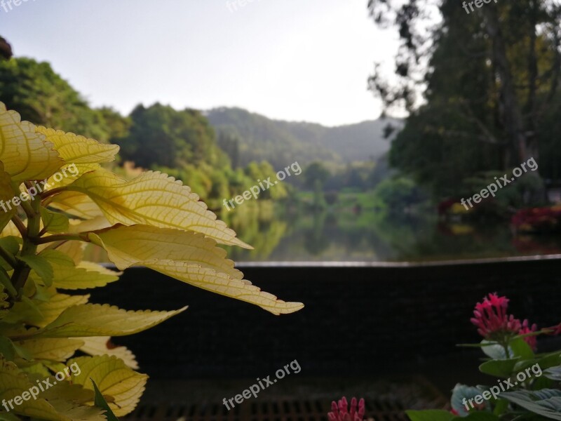 The Water Autumn Macro Free Photos