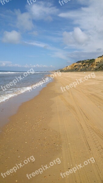 Beach Doñana Sand Free Photos