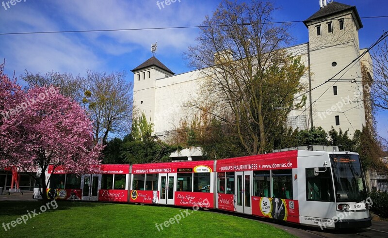 Tram Passengers Public Transport Means Of Transport Free Photos