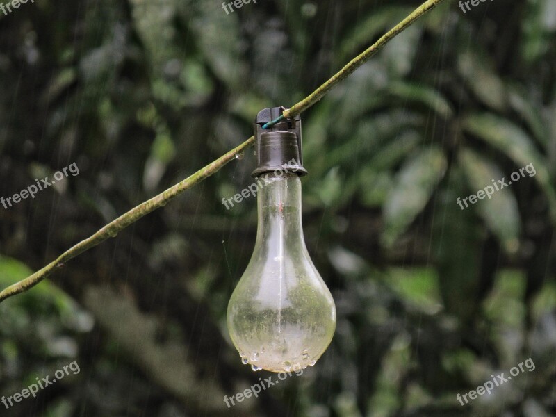 Bulb Light Rain Water Hanging