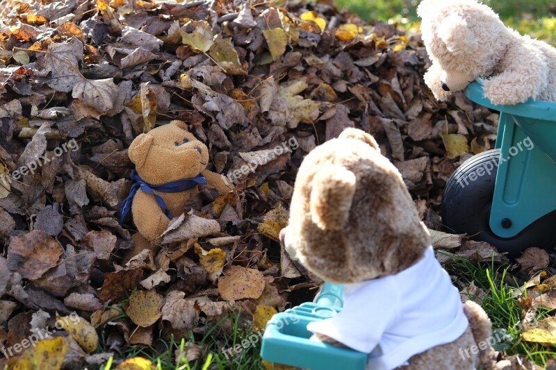 Leaves Autumn Fall Foliage Teddy Bear