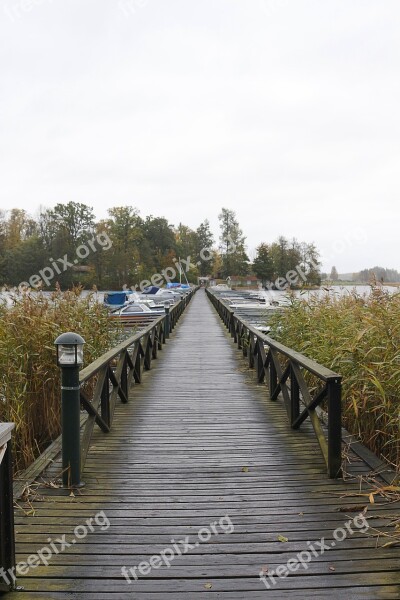 Jetty Wood Boardwalk Wooden Bridge Boards