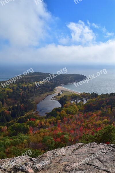 Mountain Trees Nature Landscape Coast