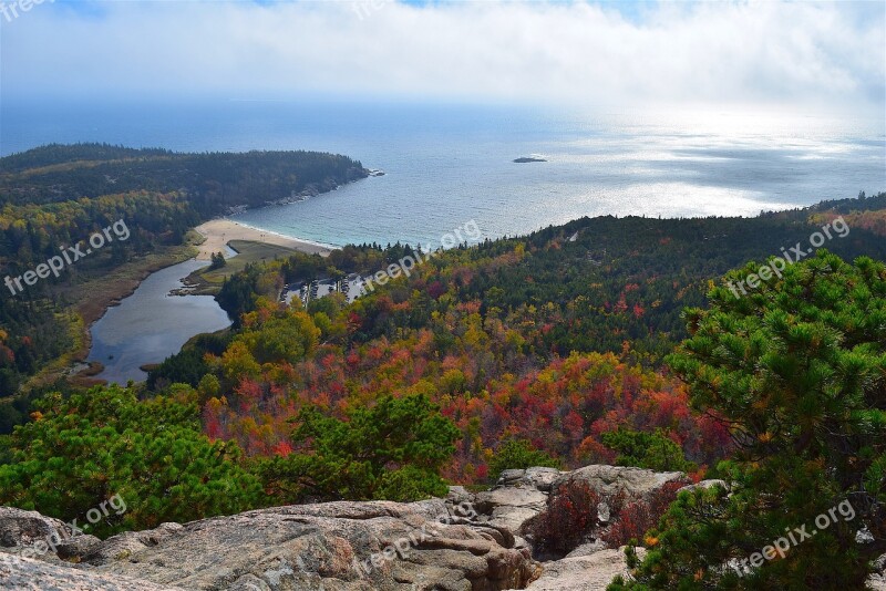 Mountain Trees Nature Landscape Coast