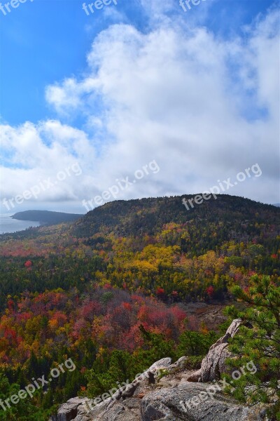 Mountain Trees Nature Landscape Coast