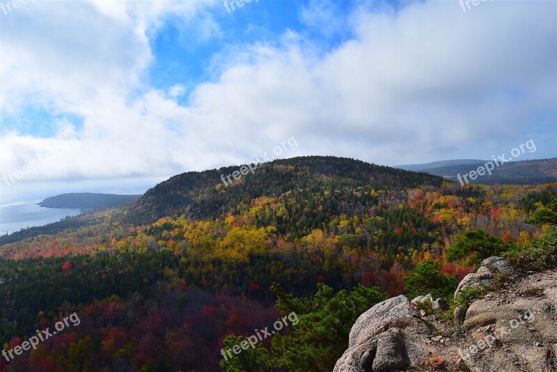 Mountain Trees Nature Landscape Coast