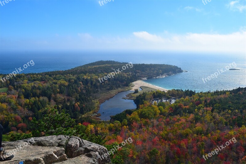 Mountain Trees Nature Landscape Coast