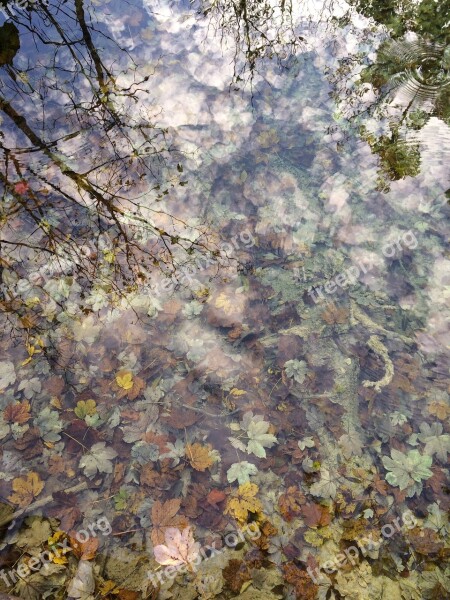 Water Plitvice Croatia Waterfall Leaves