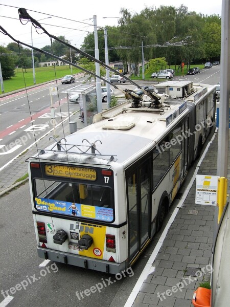 Transport Public Transport Trolley Bus Bus Vehicle