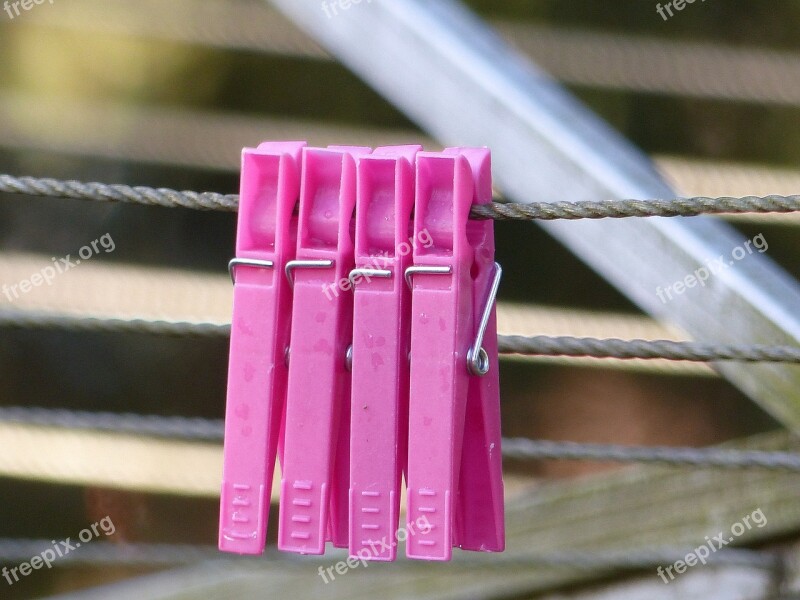 Clothespins Pink Position Autumn Thread