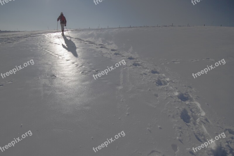 Snow Shoe Hike Winter Traces Snow Tramp Reprint