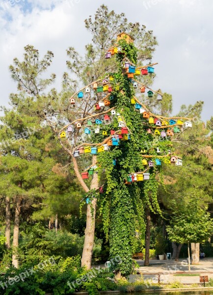 Bird Tree Bird Tree Colorful Artificial