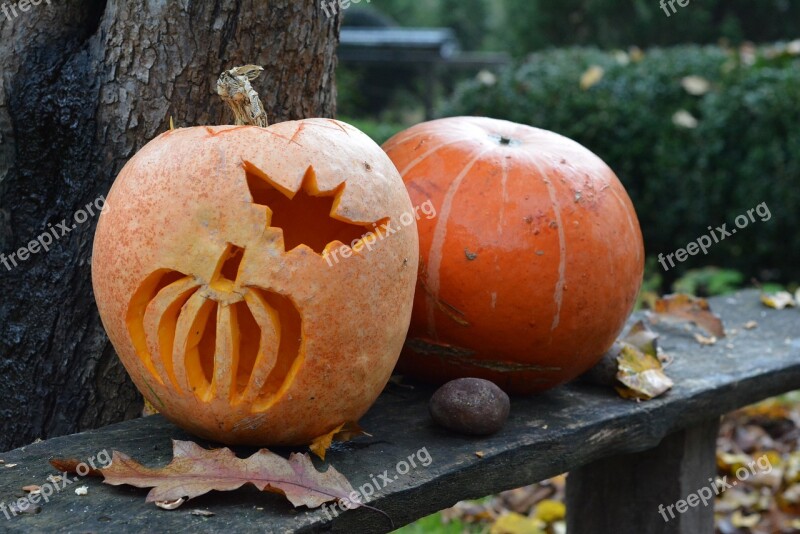 Pumpkin Pumpkins Powycinana Pumpkin Halloween Orange