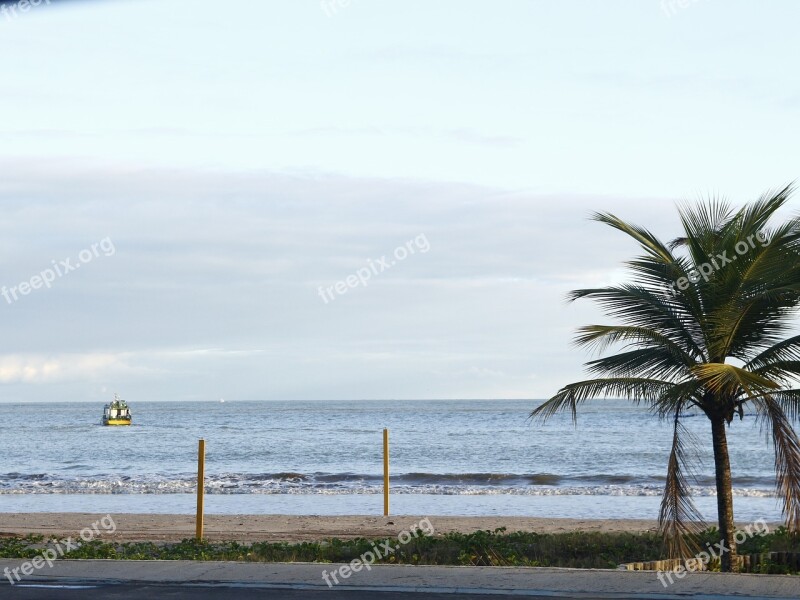 Beach Sol Coconut Tree Free Photos