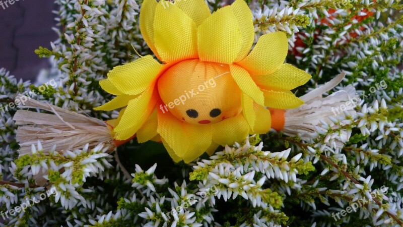 Flowers Face Plants Figure Decorative Yellow Visionary