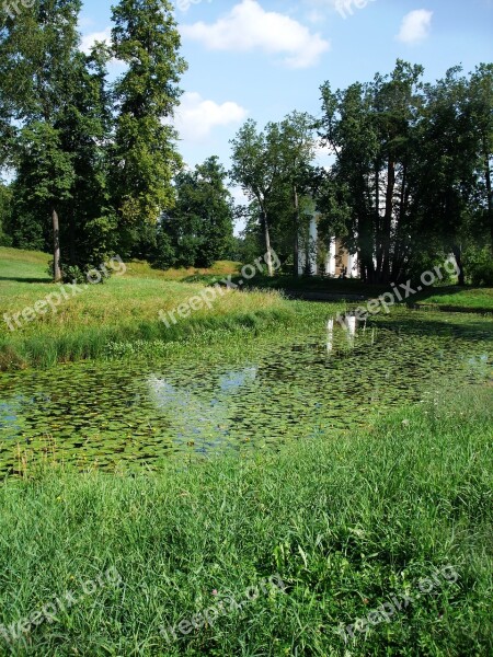 Park River Forest Pavlovsk Trees