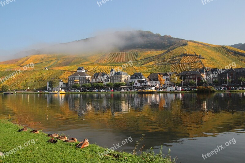 Mosel Vineyards Mirroring Landscape Germany