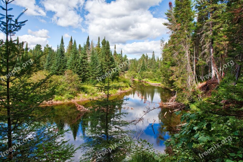 Algonquin Park Lake Landscape Free Photos