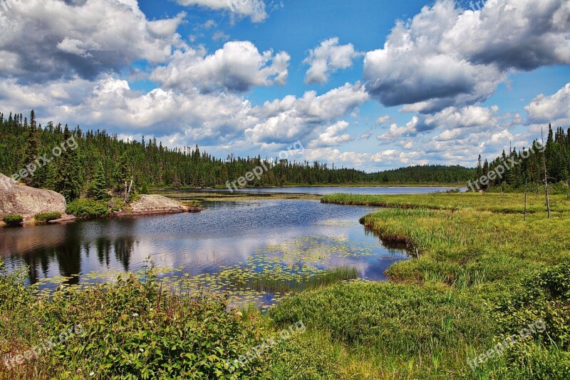 Algonquin Park Lake Scenery Free Photos