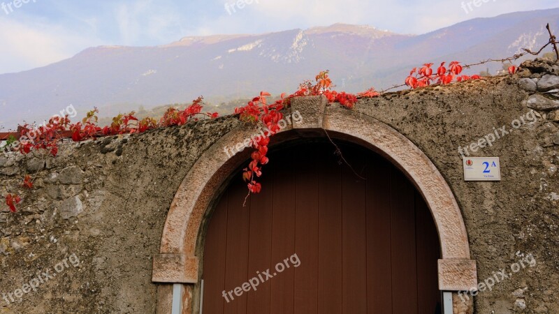 Autumn Leaves Door Mountains Wall