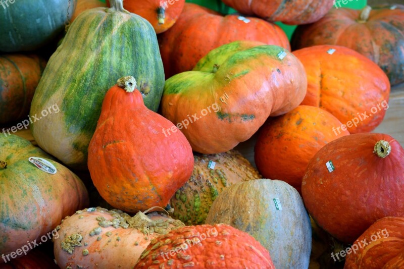 Pumpkins Vegetable Food Orange Color Autumn