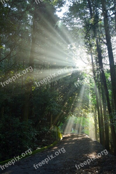 Summer Sunbeams Trailhead Free Photos