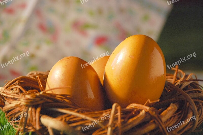 Egg Eggs Easter Spring Easter Time